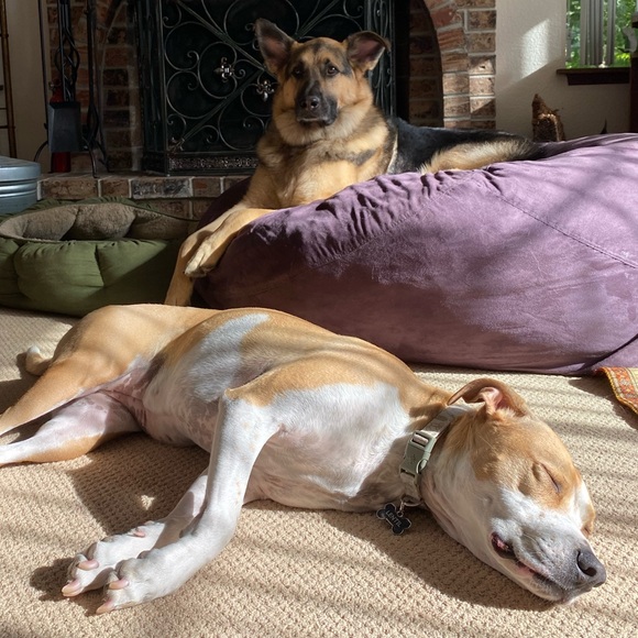 Meet your Posher, Helen - Picture 2 of 2